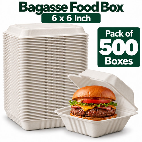 500 stück weiß bagasse - stück,