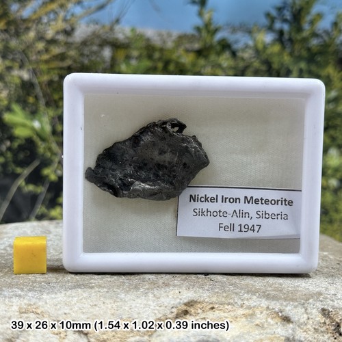 Sikhote alin meteorit echtes - sikhote-alin,