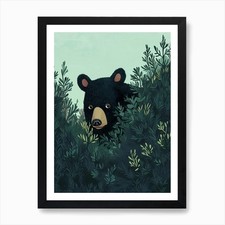 Amerikanischer Schwarzbär