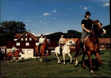 OSTERODE Pony-Hotel ZUR LINDE