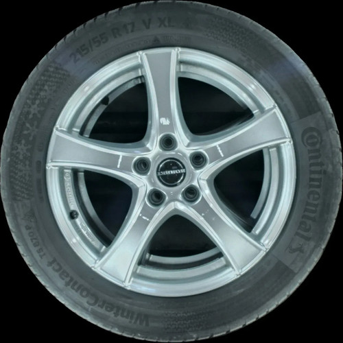 215 r17 98v winterreifen - 215/55,