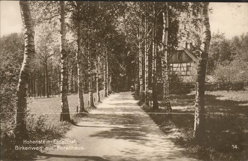 Hohenstein ernstthal birkenweg - hohenstein-ernstthal,