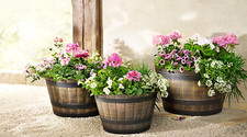 Pflanzkübel Eimer, 3er-Set , 3 große Pflanztöpfe im Fass-Design . 33 / 40 / 45 c