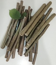 500g frisches Haselnuss