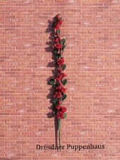 Rote Kletterrosen, Puppenhaus