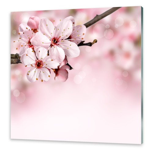 Glasbilder wandbild druck - wandbild, auf