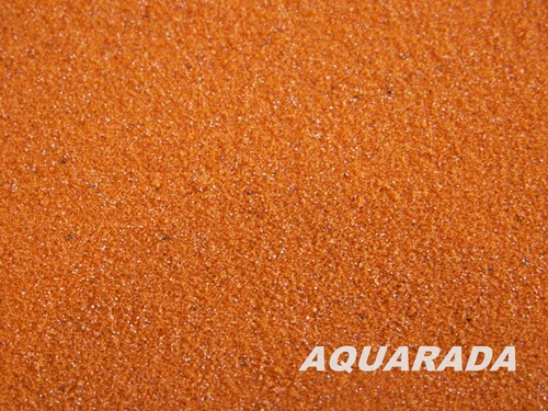 Artemia eier entkapselt 250g - artemia,