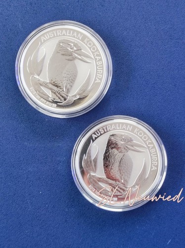 Kookaburra 2012 - 1,