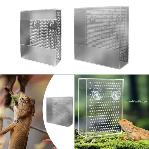 Reptilien futterstation aus - reptilien,