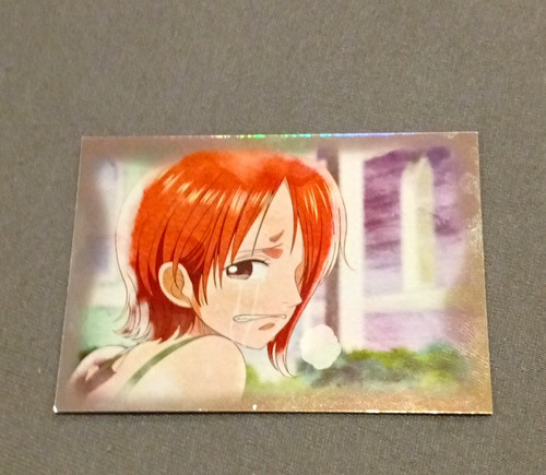 Panini one piece - piece, non-sport
