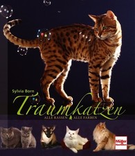 Traumkatzen Alle Rassen Farben Arten Rasseband Katzen Bildband Zucht Buch selten