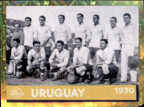 Panini 2022 qatar - -, sticker