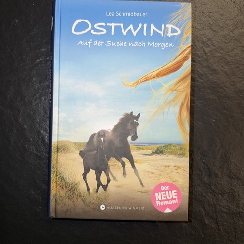 Ostwind auf der - 04, suche