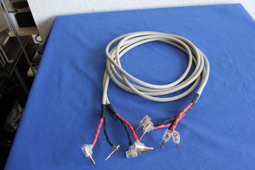 Straight wire rhythm - straight, highend