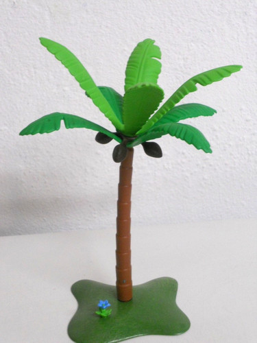 Palme kokosnusspalme kokosnuss - palme,