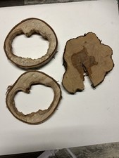 Baumscheiben, Bastellholz