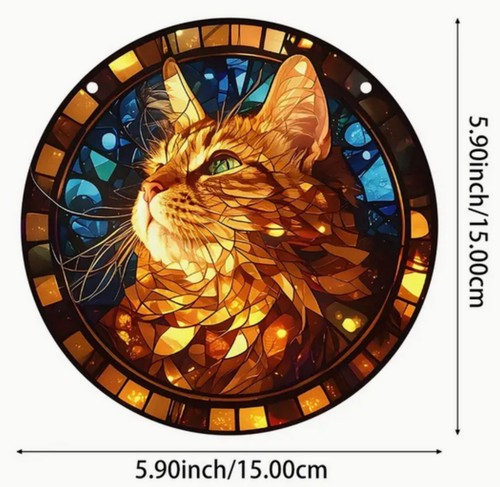 Wunderschönes katzenbild aus - wunderschönes,