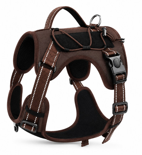 Tolles outdoor hundegeschirr - tolles,