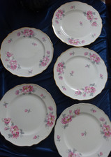 5 x Kuchenteller Teller Art