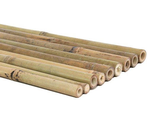 Bambusrohr tonkin 14cm - bambusrohr,