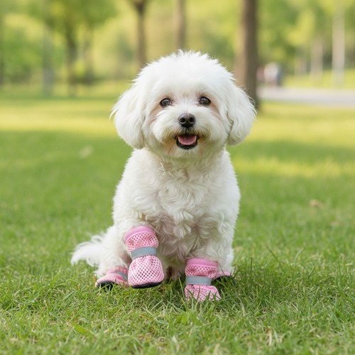Hundeschuhe sommer mesh - hundeschuhe,