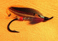 Lachsfliege Salmon Fully