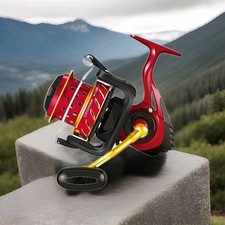 Angelrolle 8000-10000  Groß &