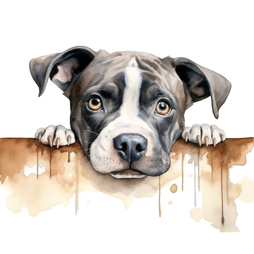 American bulldog auto - 7x,