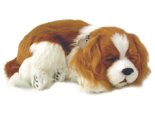 Precious petzzz breathing - petzzz,