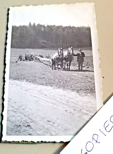 Altes foto vintage - altes,