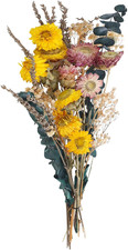 Trockenblumenstrauß Deko Set