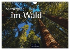 Spaziergang im Wald