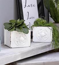 Pflanzkasten Blumenkasten