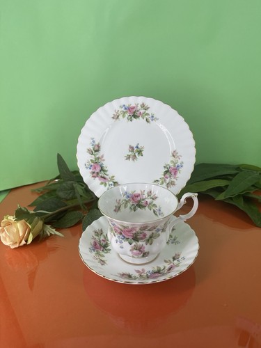 Royal albert moss rose - albert,