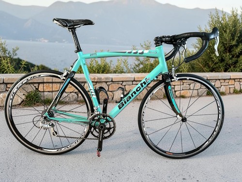Bianchi via nirone - nirone, 7