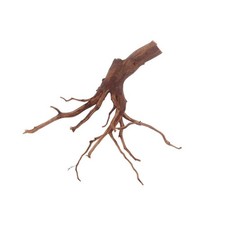 Aquarium Wurzel Deko Red Spiderwurzel Moorwood Mangroven Aquascaping M Nr.3143