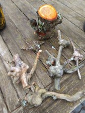 Baumperlen Holz Knollen