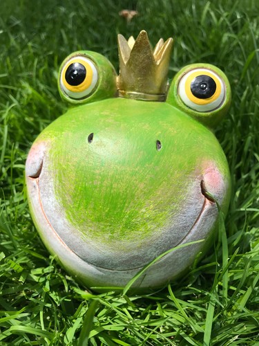 Frosch froschkönig cm - froschkönig, 13