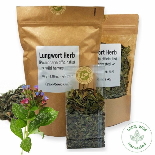 Bio lungenkraut kräuter - bio,