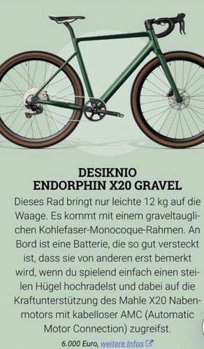 Bike desiknio endorphin x20 - e,