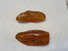 2 tlg. Bernstein Konvolut