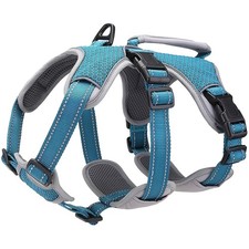 Hundegeschirr, ausbruchsicher