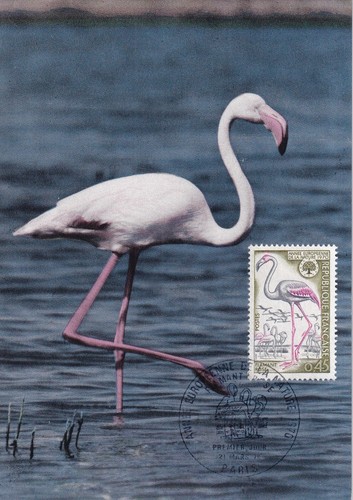 Postkarte karte tag - postkarte, first