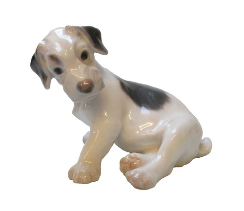 Bing grondhal sealyham welpe - grondhal,