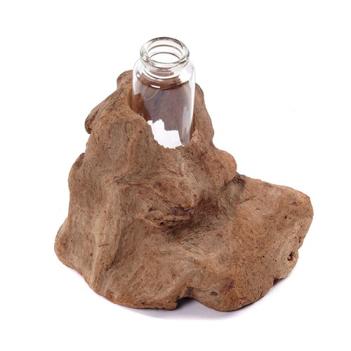Treibholz reagenzglas vase - treibholz,
