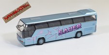 Rietze 1:87 H0 - Reisebus
