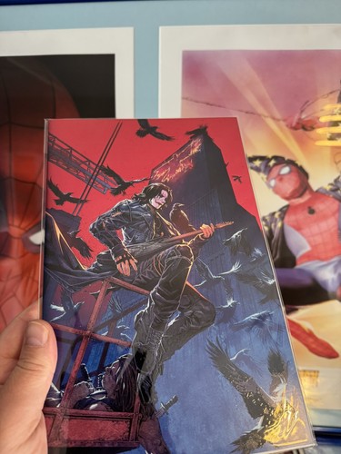The crow megacon blind - the,