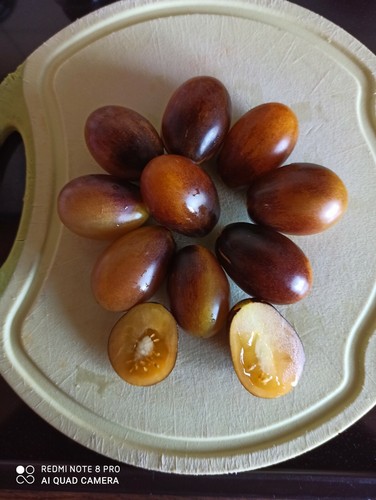 Tomatensamen indigo kumquat - ",