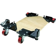 T31563 Bear Crawl