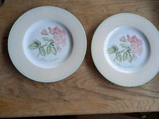 Villeroy & Boch Florea Floris x  Speiseteller Teller 27 cm Top